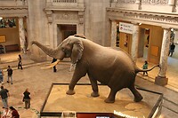IMG_3198