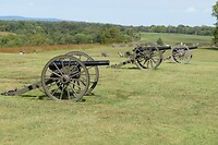 IMG_2356