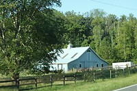 IMG_3324