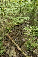 IMG_3424