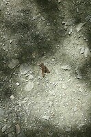 IMG_3427