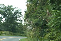 IMG_3437