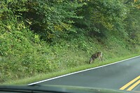 IMG_3440