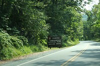 IMG_3448