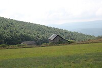 IMG_3471