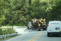 IMG_3486