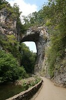 IMG_3503