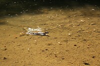 IMG_3516
