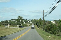 IMG_3547
