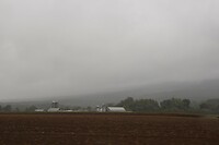 IMG_3586