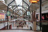 IMG_2454
