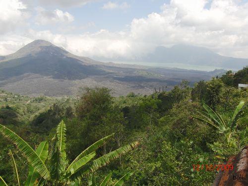 bali0001
