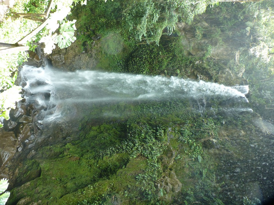 P1050398