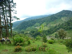 P1050408