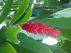 P1050432