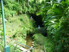 P1050496