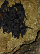 P1050508
