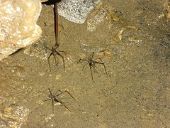 P1050515