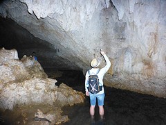 P1050523