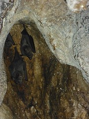 P1050526