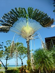 P1050538