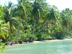 P1050546