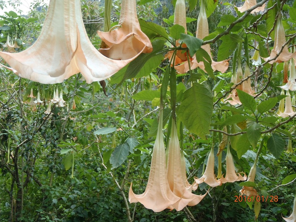 P1280020