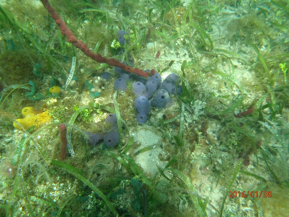 P1300060