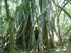 P1050854