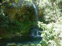 P1050881