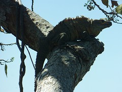 P1050894