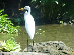 P1060081