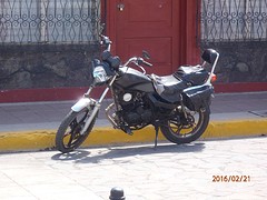 P2210081