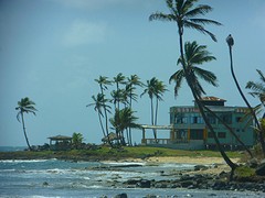 P1060223