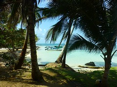 P1060239