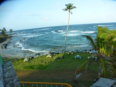 P1060280