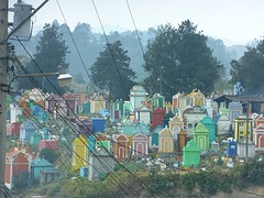 P1070039
