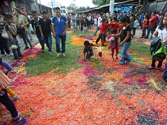 P1070118