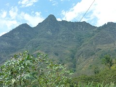 P1060905