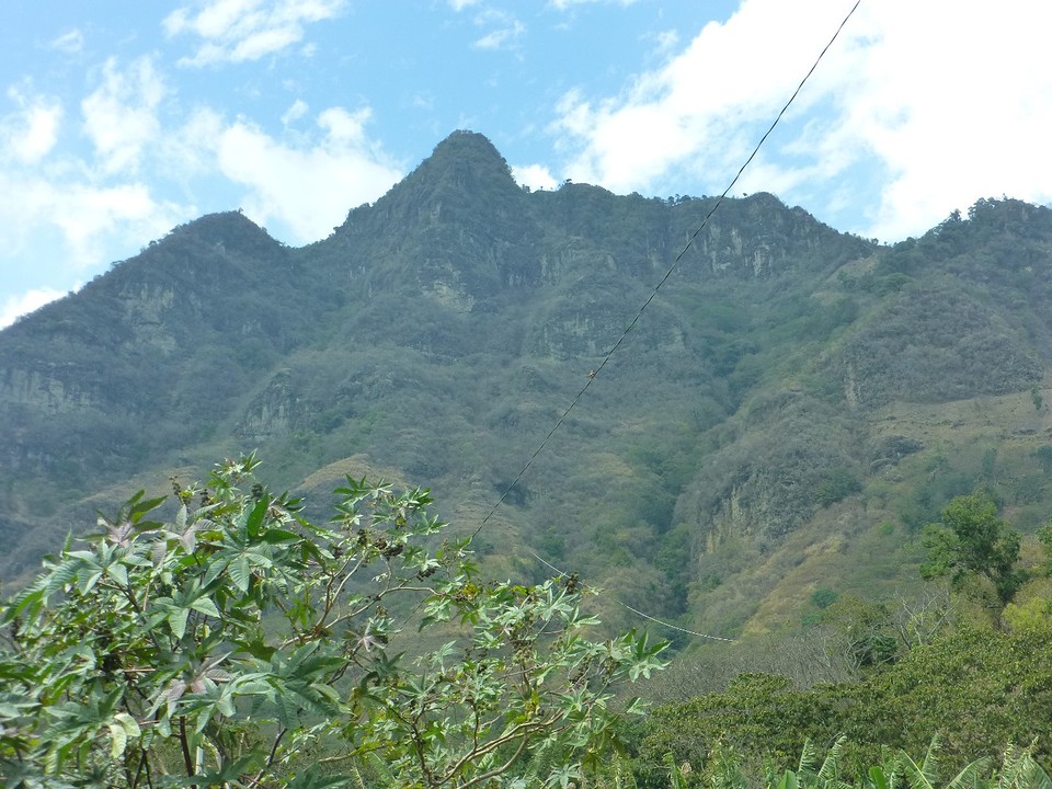 P1060905