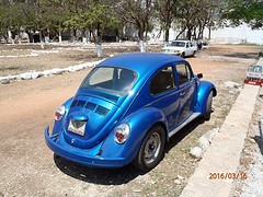 P3160115