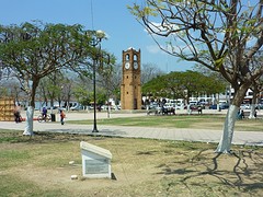 P1070353