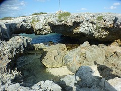 P1080626
