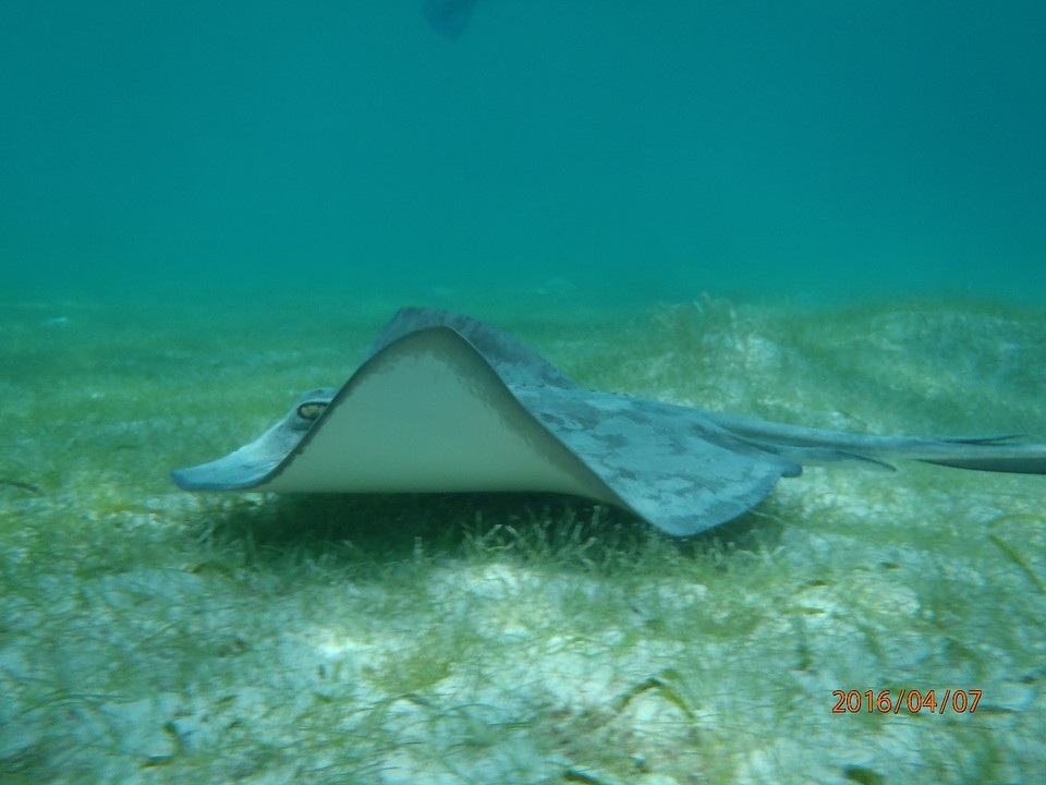 P4070257