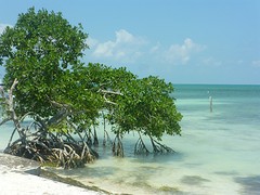 P1080861
