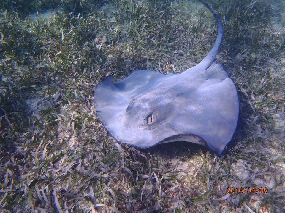 P4090135