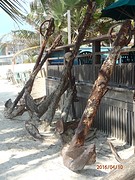P4100184