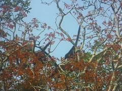 P1080964