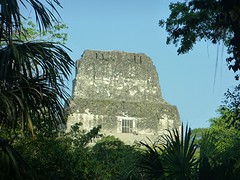 P1080984