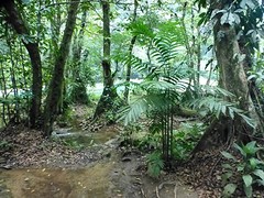 P1090217